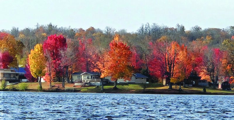 The colors of fall